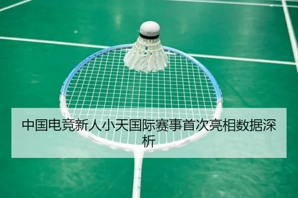 中国电竞新人小天国际赛事首次亮相数据深析